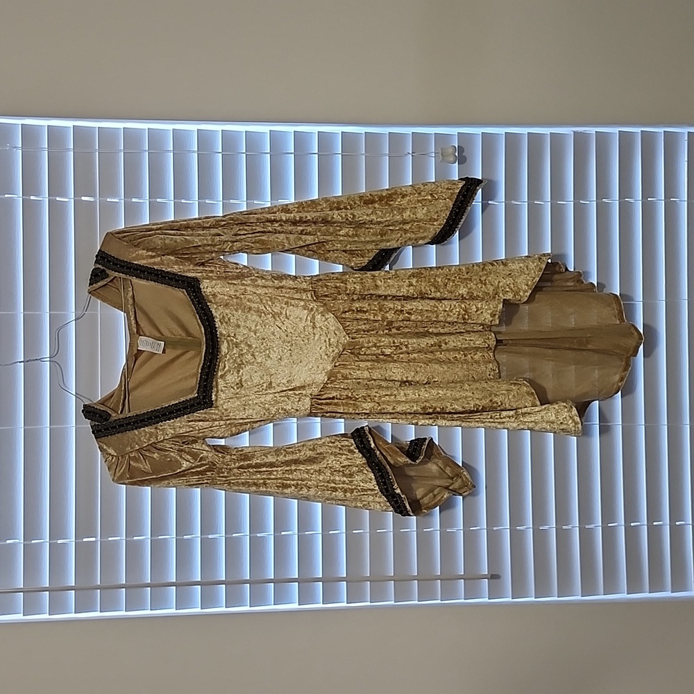 Fall Renaissance Costume with Hood